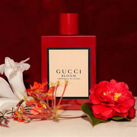 gucci bloom ambrosia perfume review.